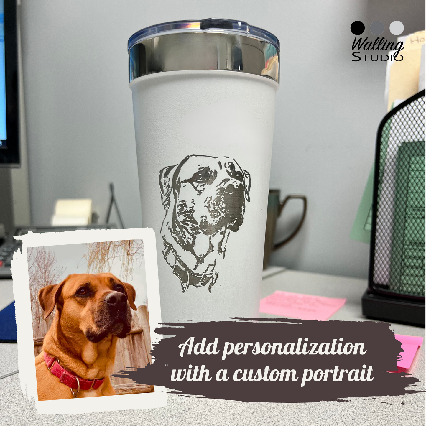 Show Me Your Pitties Tumbler