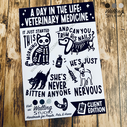 Veterinary Medicine Sticker Sheet - Client Edition